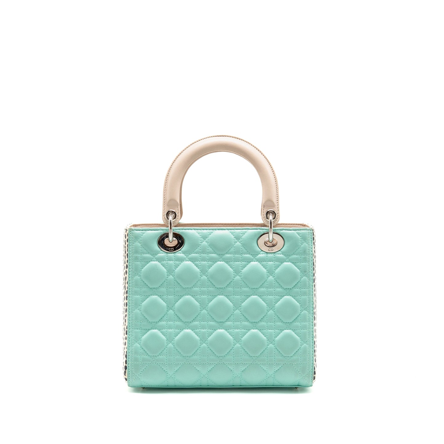 Dior Medium Lady Dior Lambskin/Python Multicolour