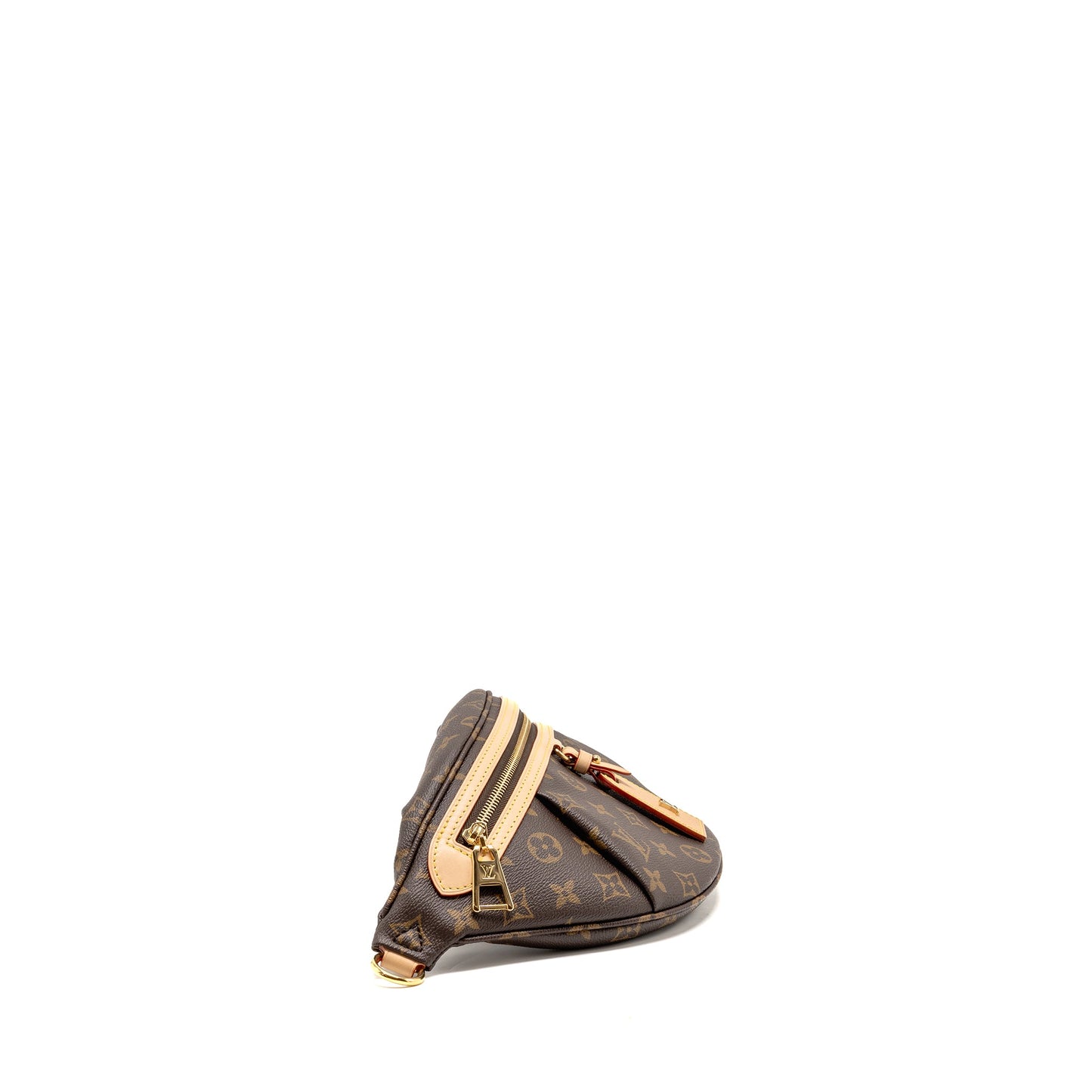Louis Vuitton High Rise Bumbag Monogram Canvas