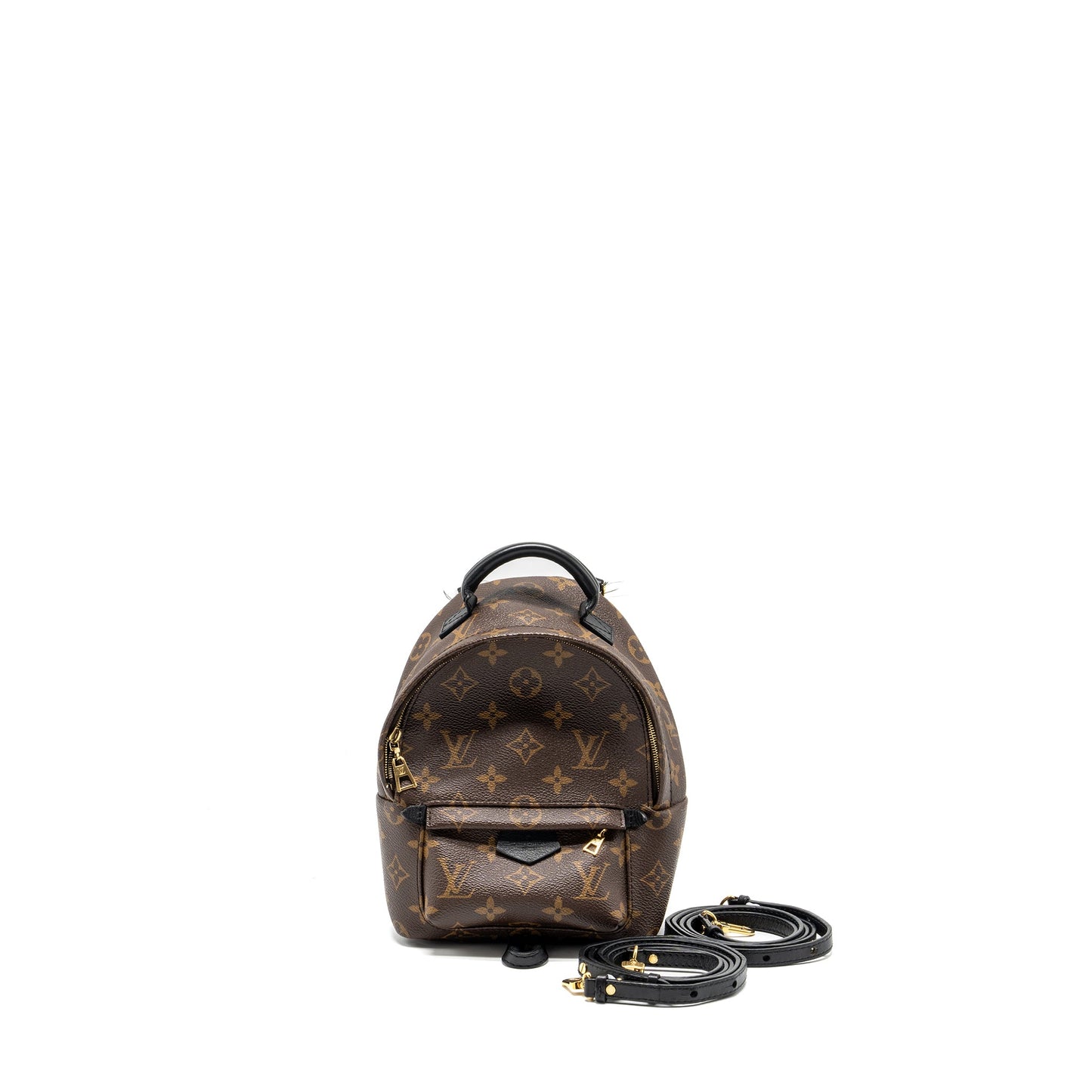 Louis Vuitton mini palm spring backpack monogram CANVAS