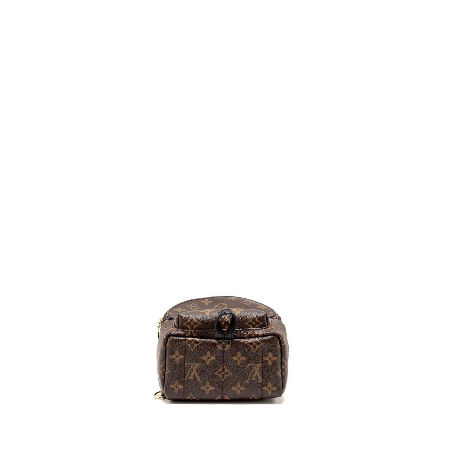 Louis Vuitton Palm Springs Mini Monogram Canvas