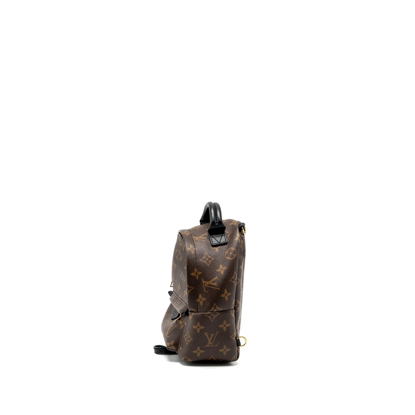 Louis Vuitton mini palm spring backpack monogram CANVAS