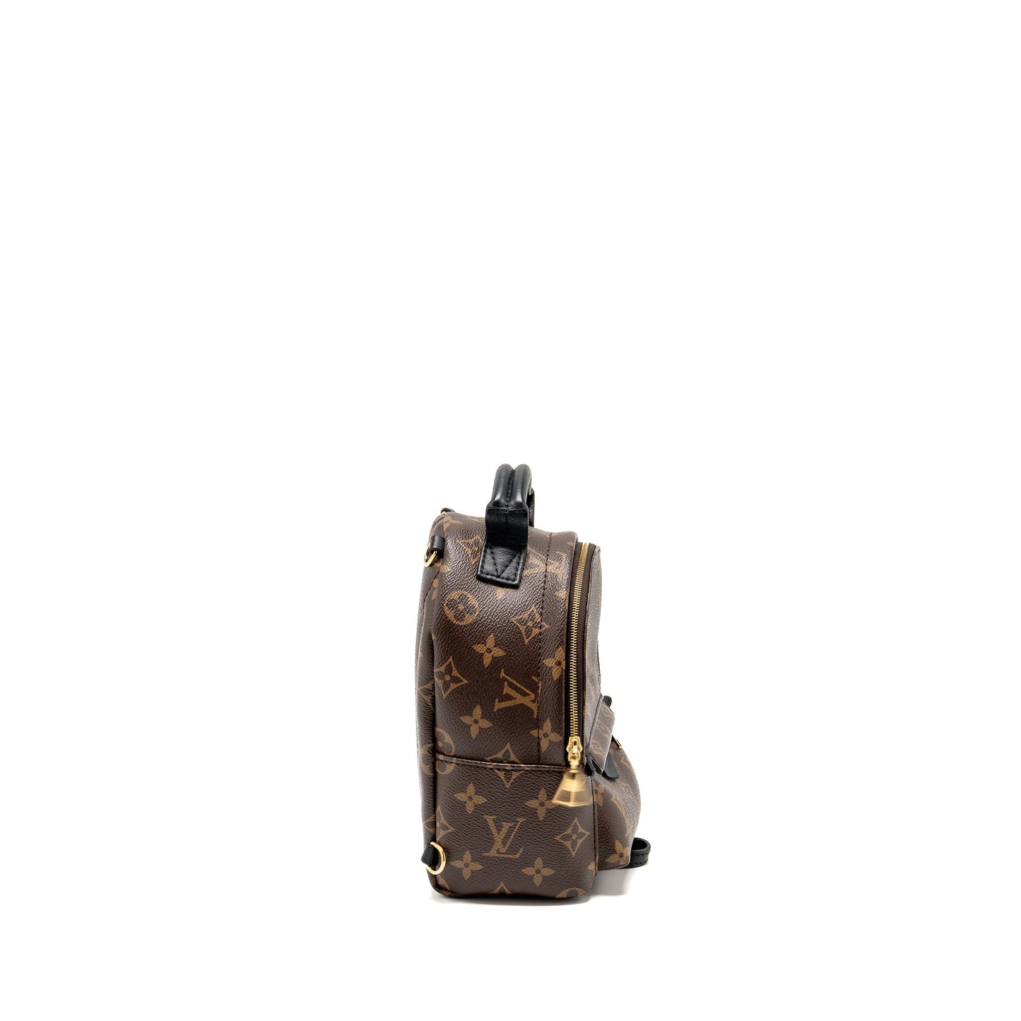 Louis Vuitton Palm Springs Mini Monogram Canvas