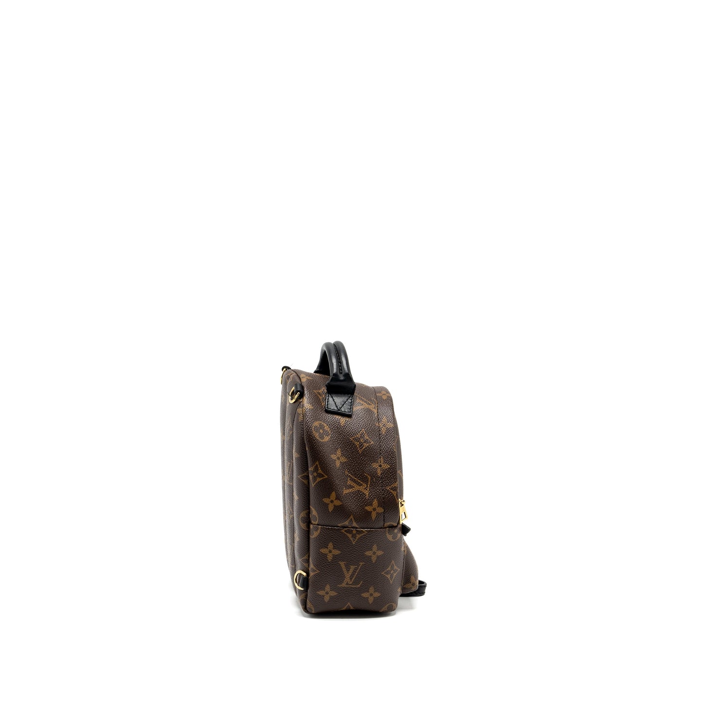 Louis Vuitton mini palm spring backpack monogram CANVAS