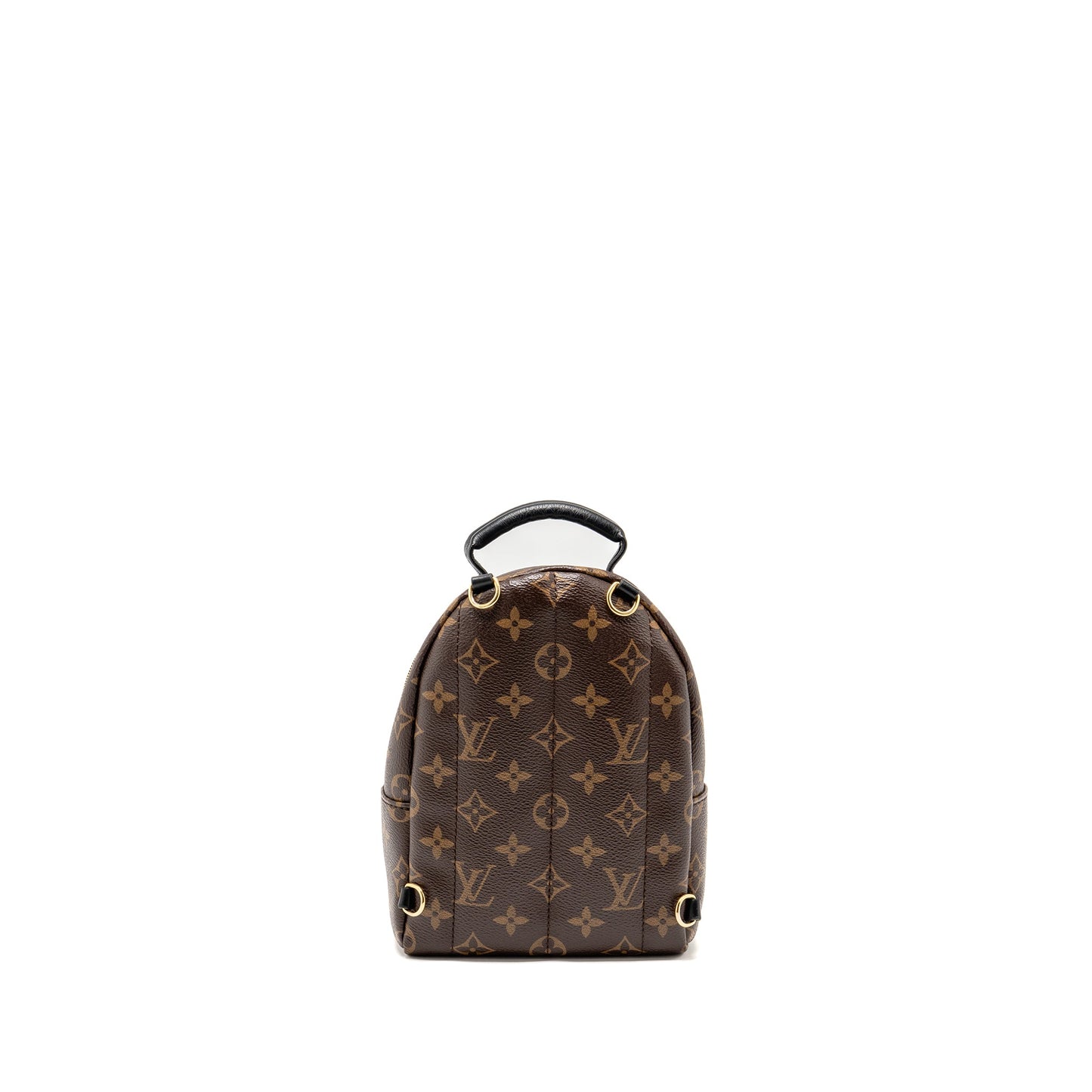 Louis Vuitton Palm Springs Mini Monogram Canvas