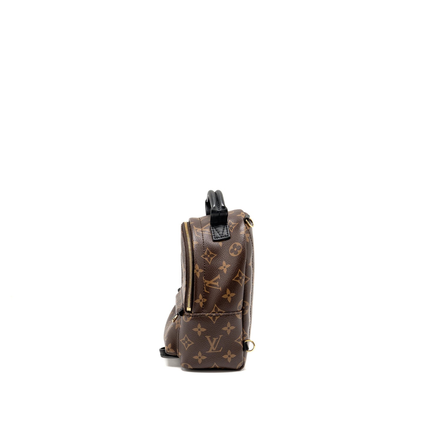 Louis Vuitton Palm Springs Mini Monogram Canvas
