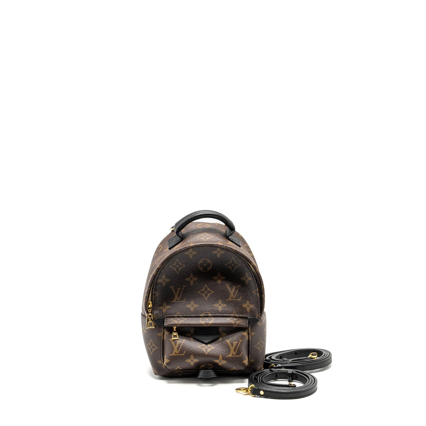 Louis Vuitton Palm Spring Mini Backpack Monogram Canvas