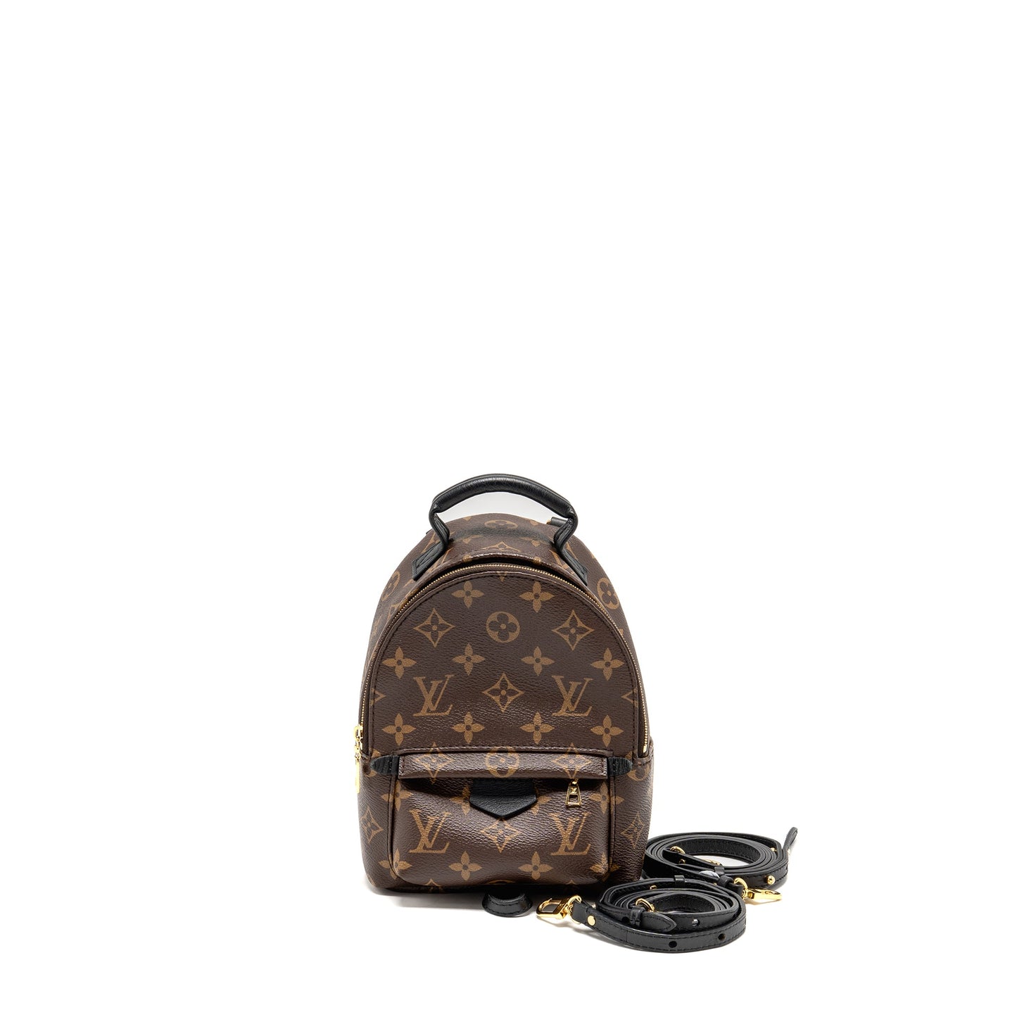 Louis Vuitton Palm Springs Mini Monogram Canvas