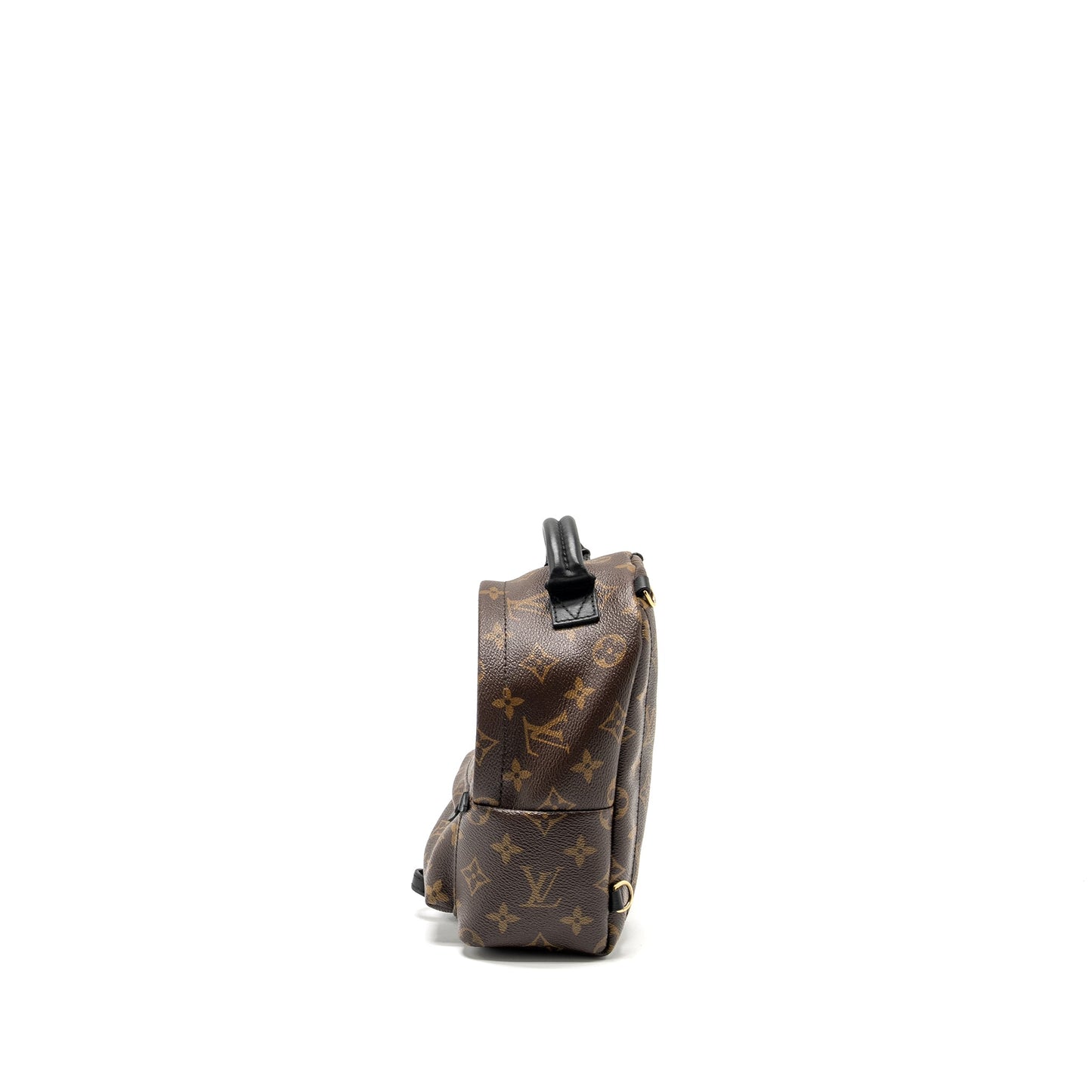 Louis Vuitton Palm Spring Mini Backpack Monogram Canvas