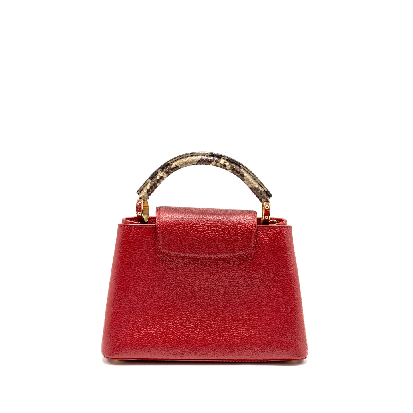 Louis Vuitton Capucine with Python Handle Taurillon