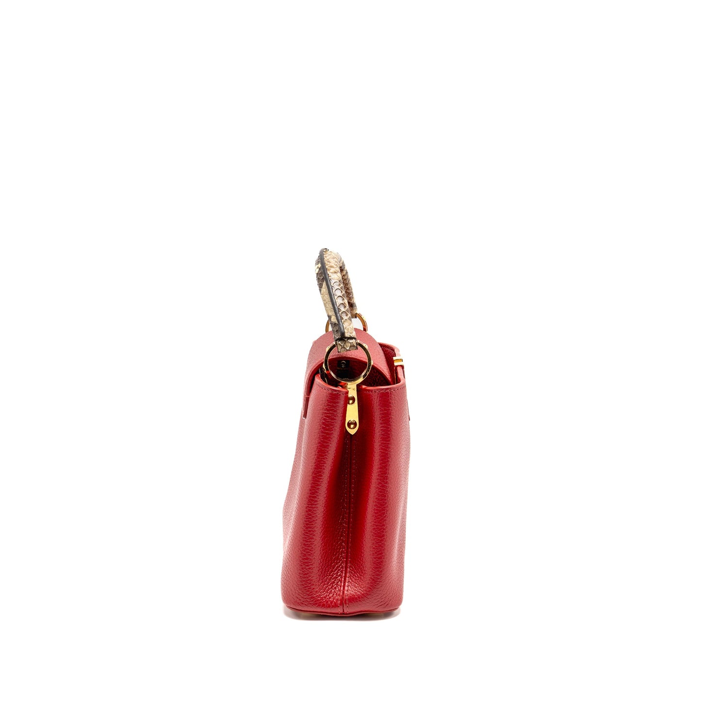 Louis Vuitton Capucine with Python Handle Taurillon