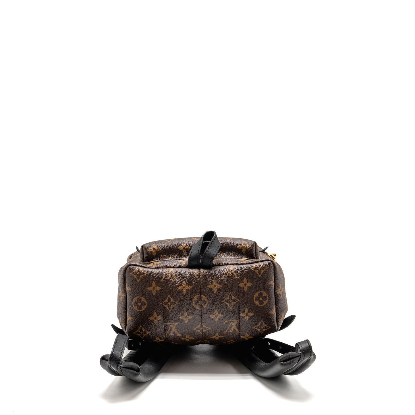 Louis Vuitton Palm Spring Backpack Monogram Canvas