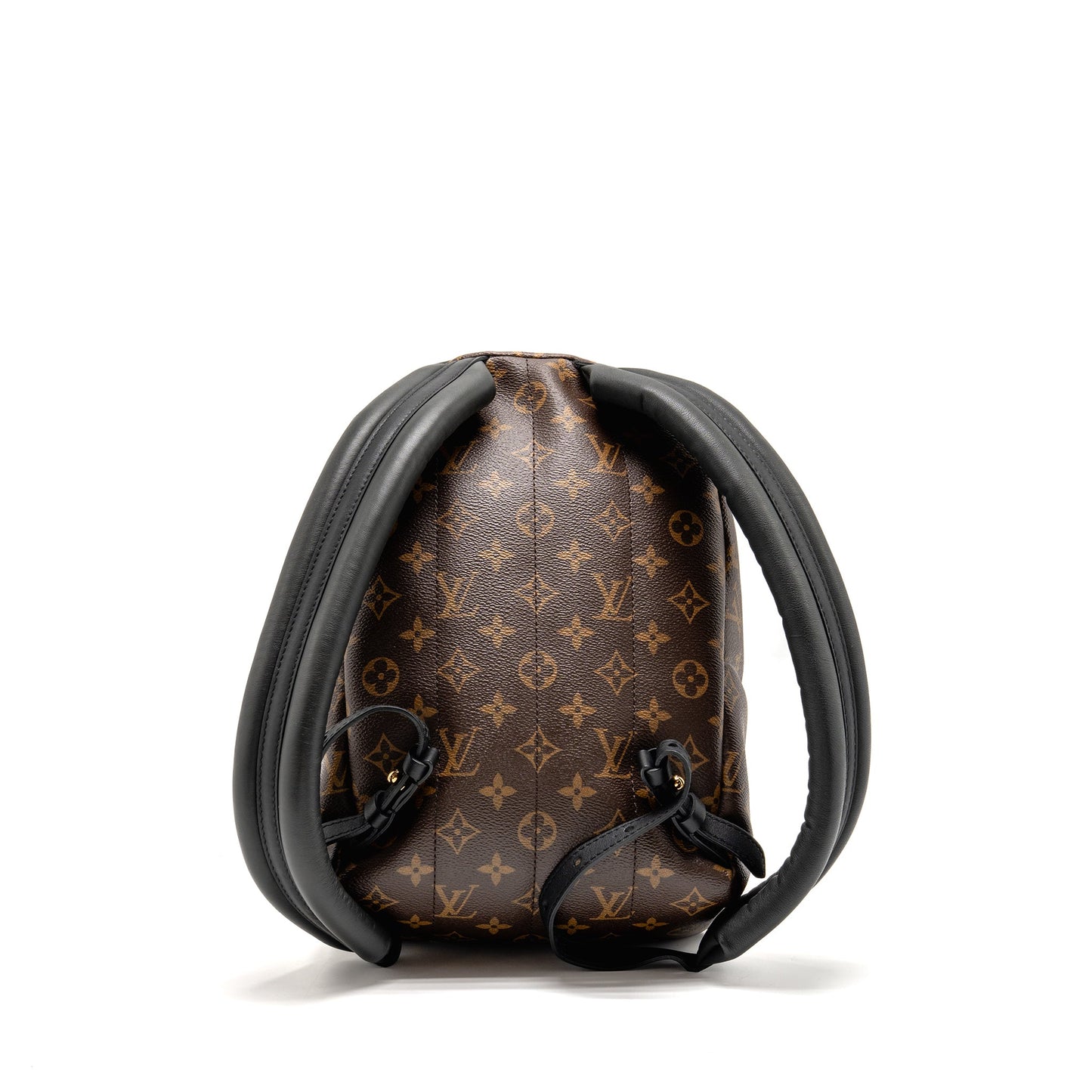 Louis Vuitton Palm Spring Backpack Monogram Canvas