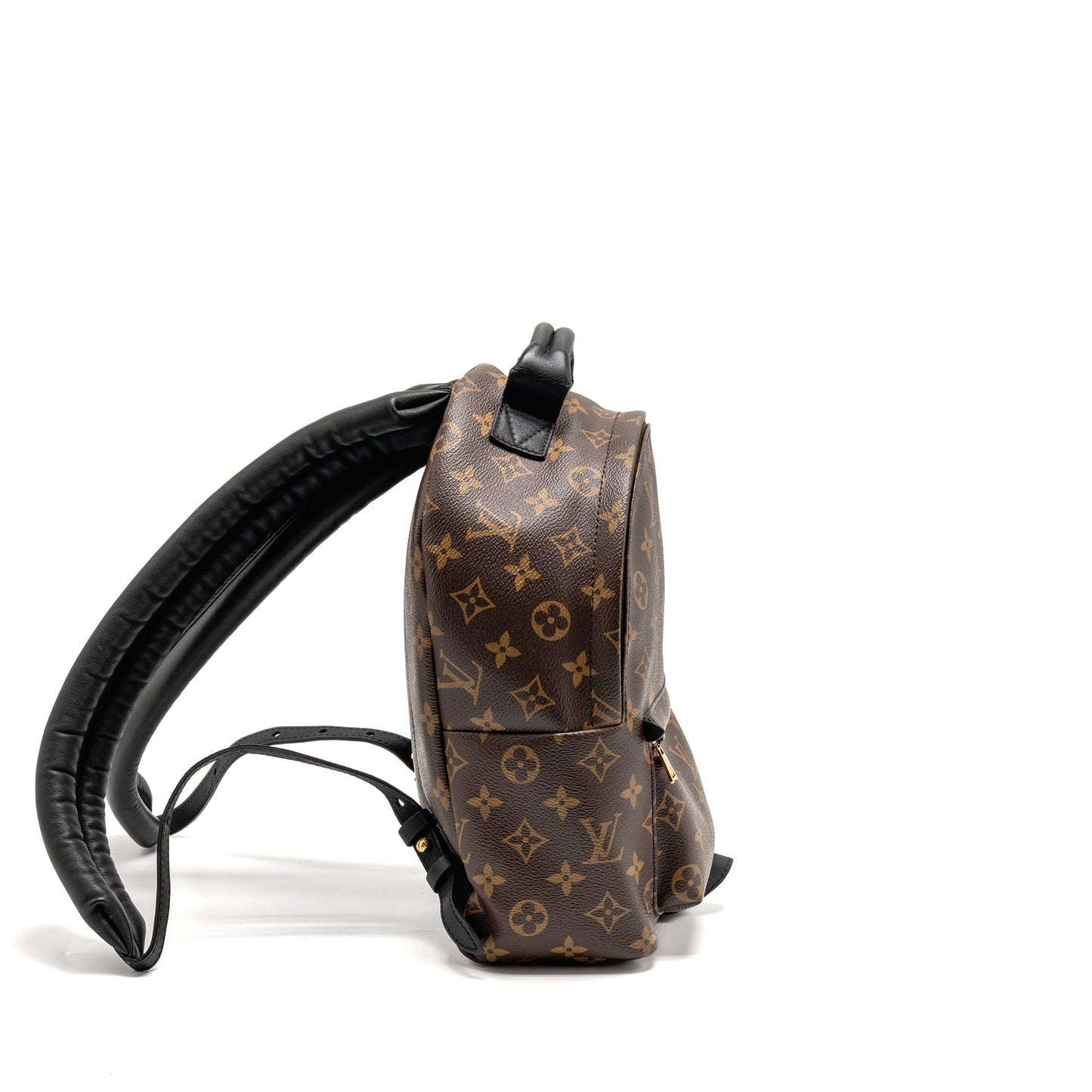 Louis Vuitton Palm Spring Backpack Monogram Canvas