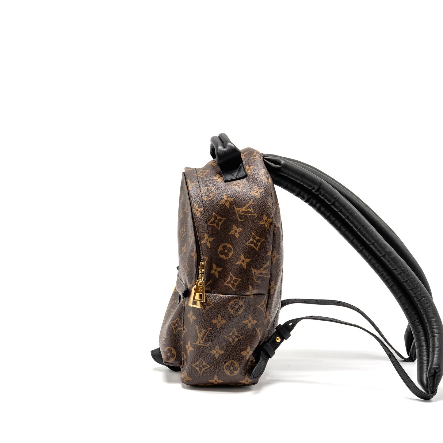 Louis Vuitton Palm Spring Backpack Monogram Canvas