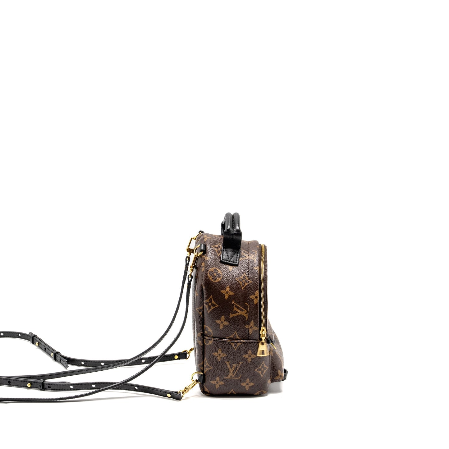 Louis Vuitton Mini Palm Spring Backpack Monogram Canvas