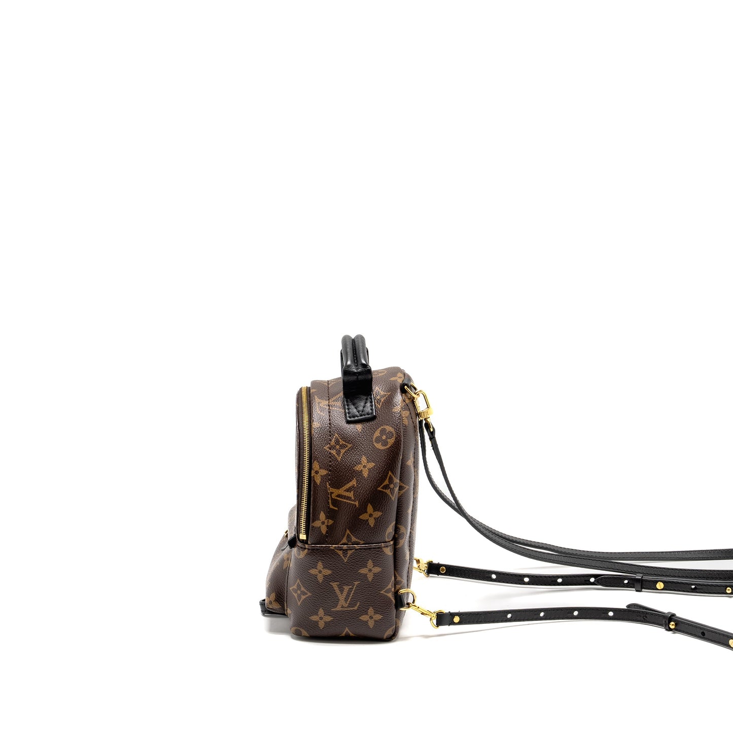 Louis Vuitton Mini Palm Spring Backpack Monogram Canvas