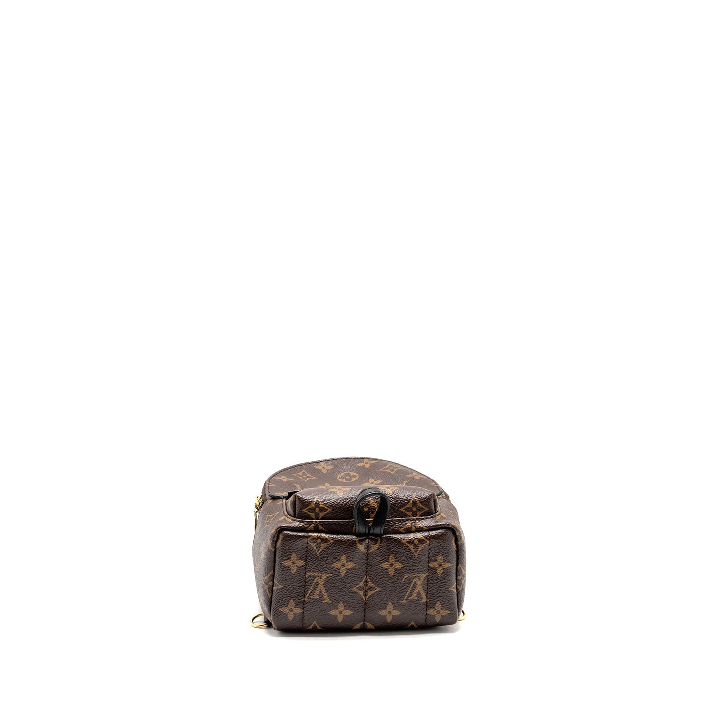 Louis Vuitton Mini Palm Spring Backpack Monogram Canvas