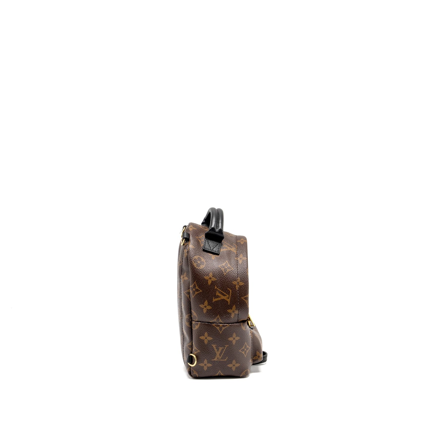 Louis Vuitton Mini Palm Spring Backpack Monogram Canvas