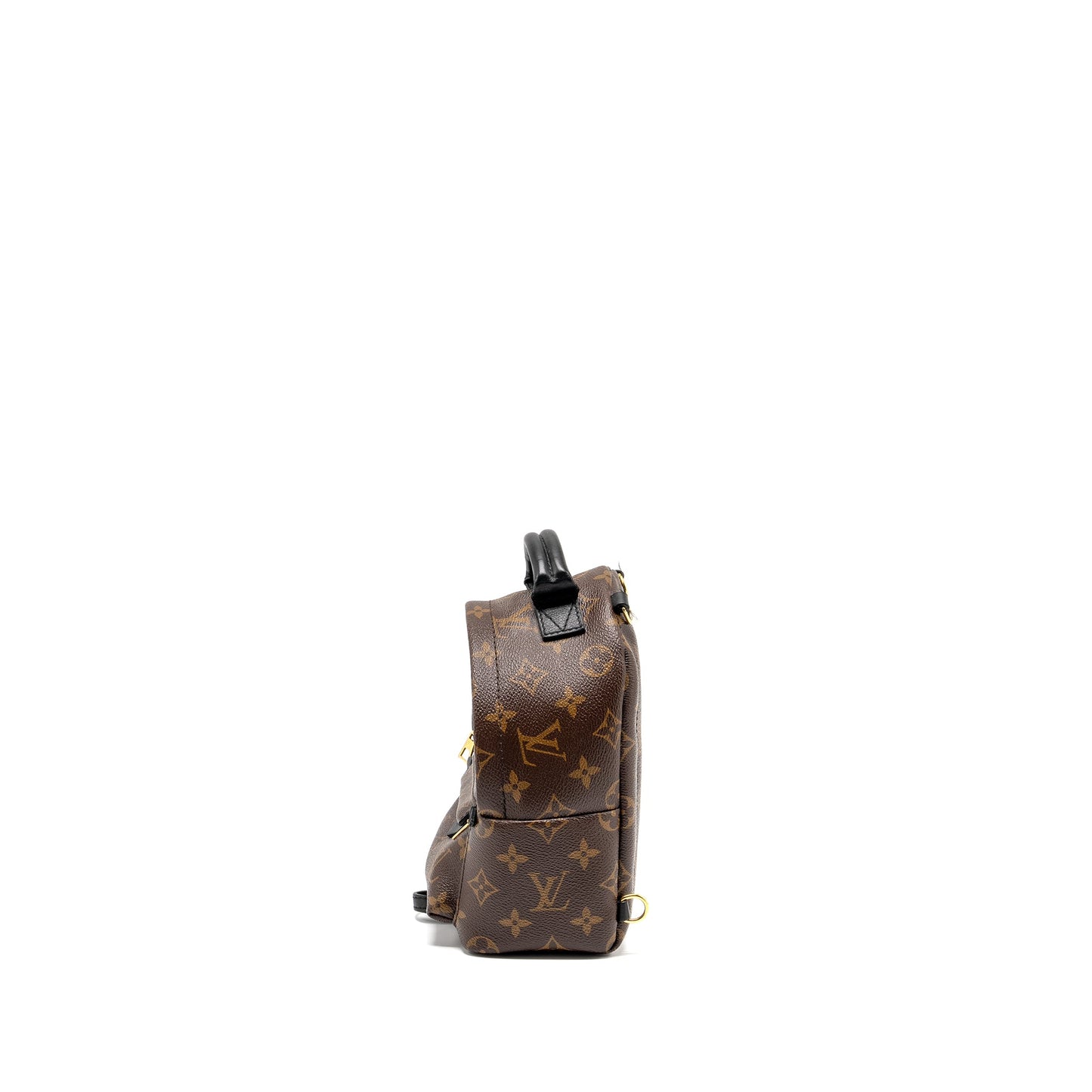 Louis Vuitton Mini Palm Spring Backpack Monogram Canvas
