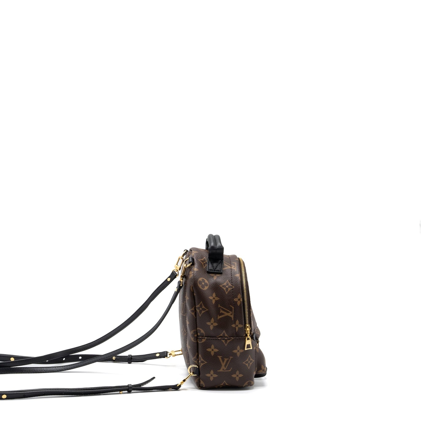 Louis Vuitton Palm Spring Mini Backpack Monogram Canvas (new version)