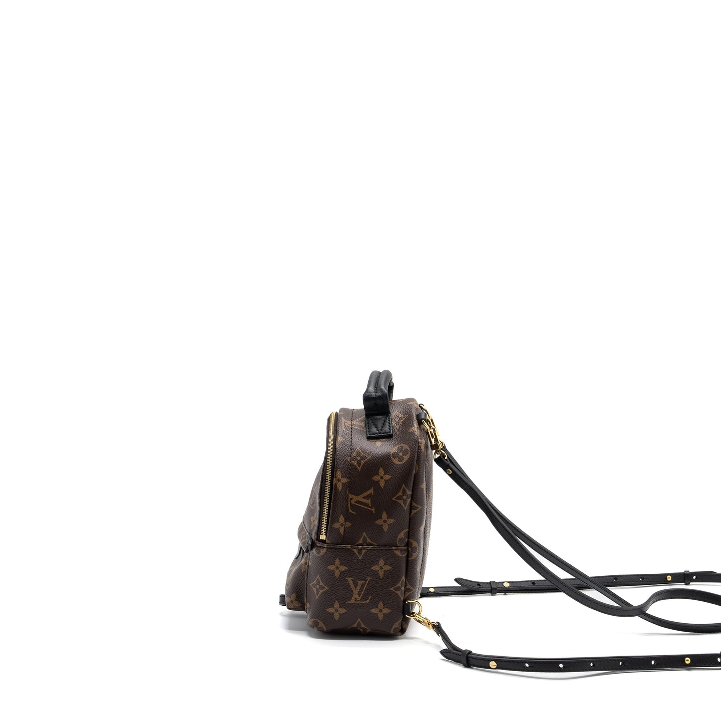 Louis Vuitton Palm Spring Mini Backpack Monogram Canvas (new version)