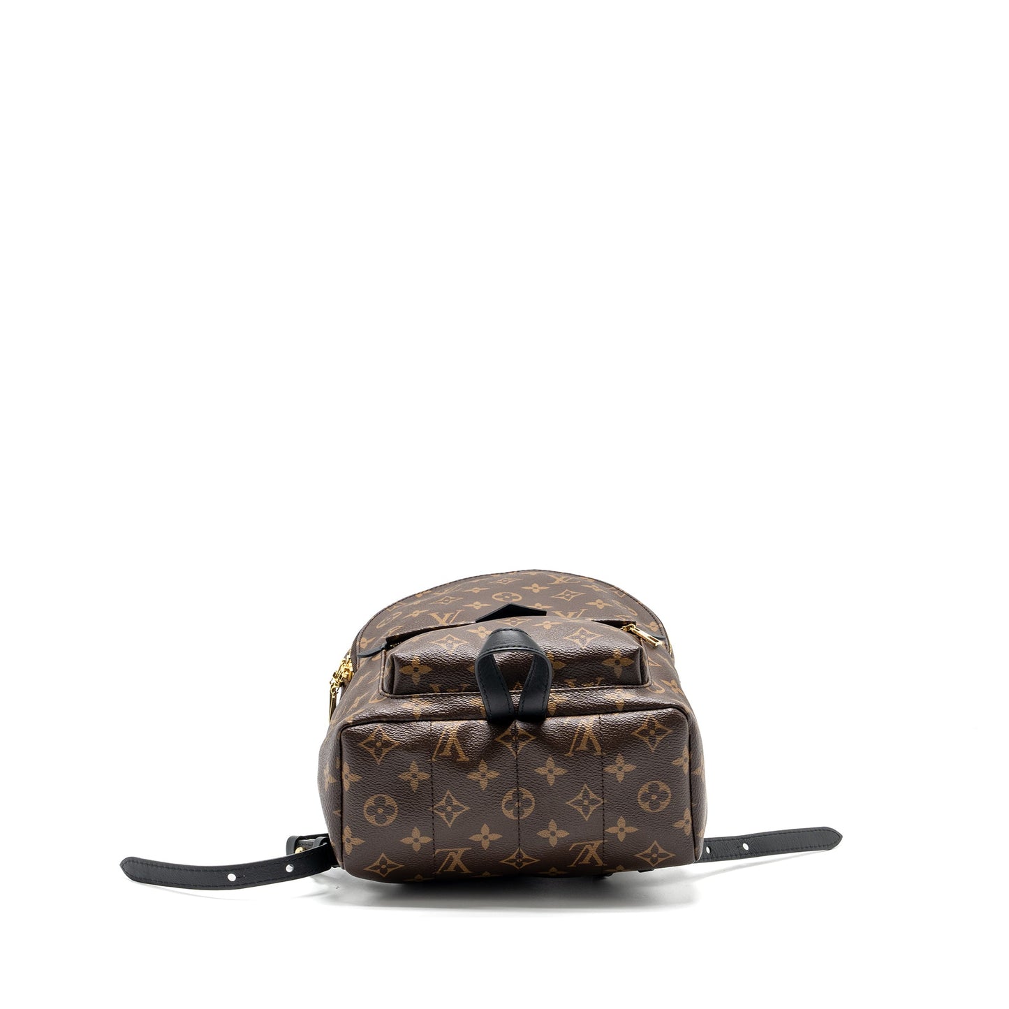 Louis Vuitton Palm Spring Backpack Monogram canvas