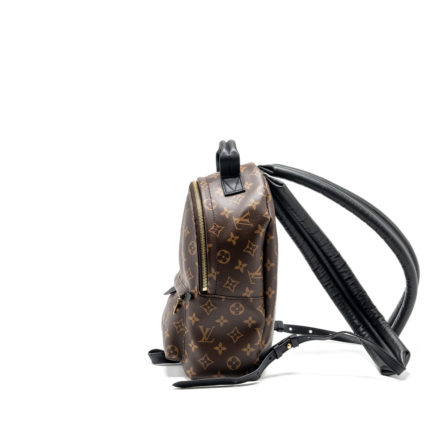 Louis Vuitton Palm Spring Backpack Monogram canvas