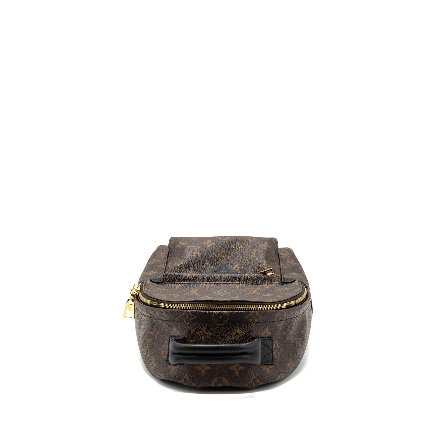 Louis Vuitton Palm Spring Backpack Monogram Canvas