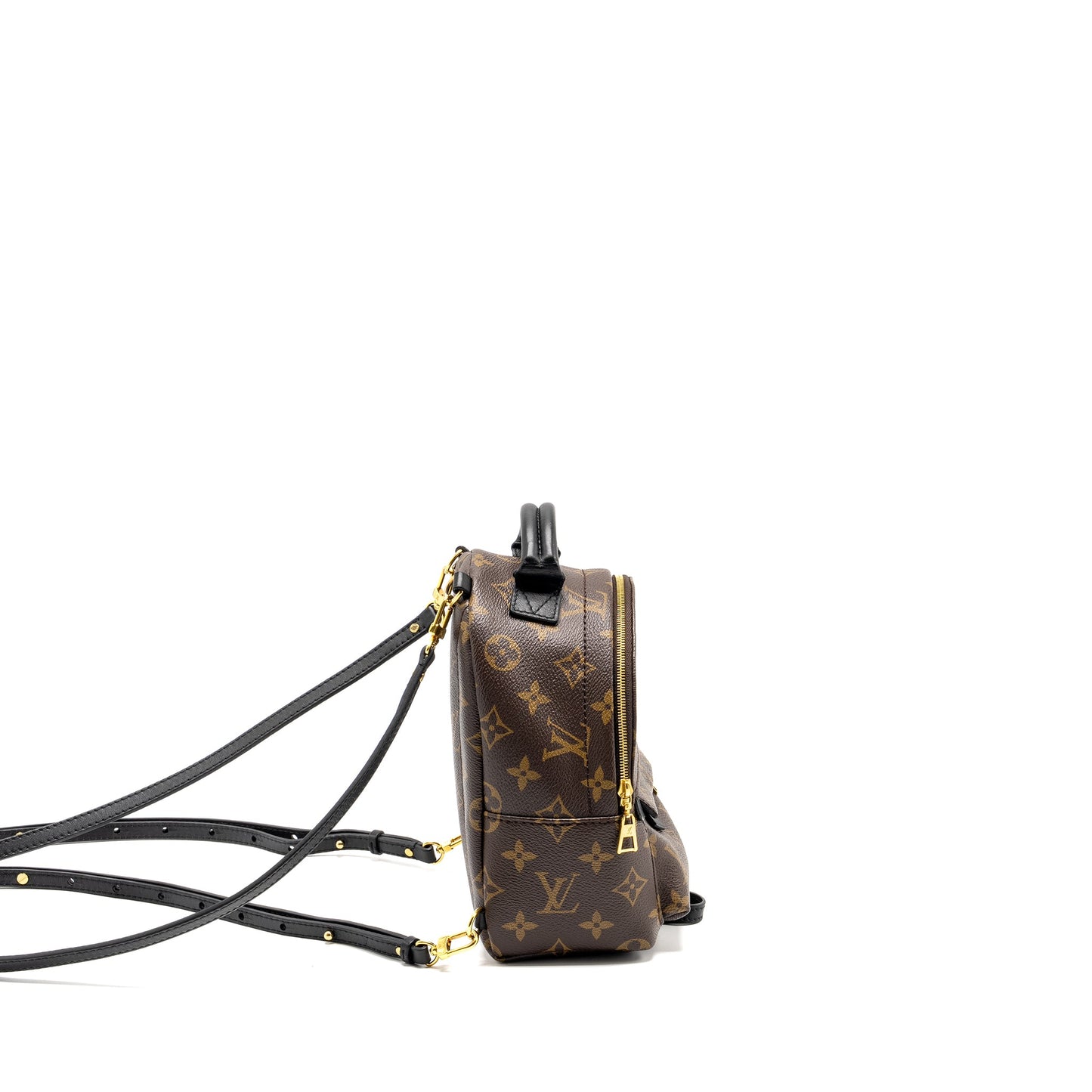 Louis Vuitton Mini Palm Spring Backpack Monogram CANVAS