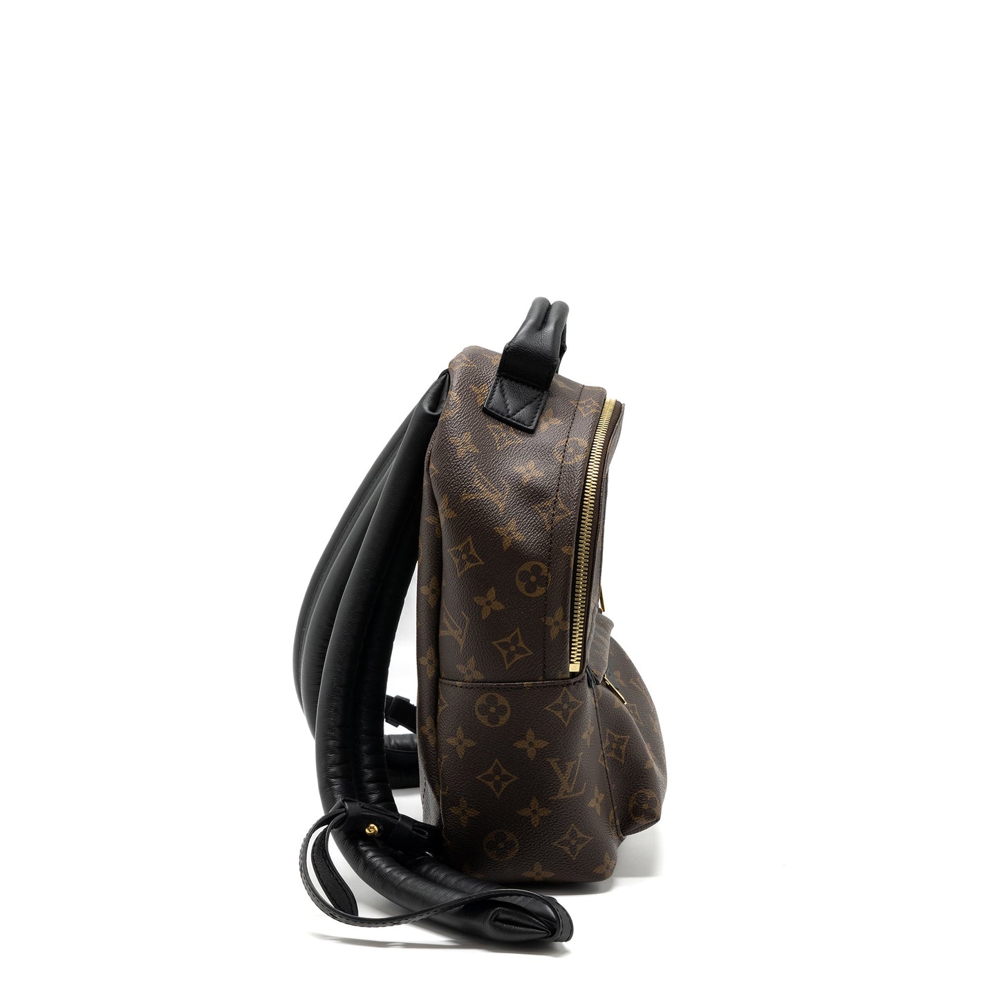 Louis Vuitton Palm Spring Backpack Monogram Canvas