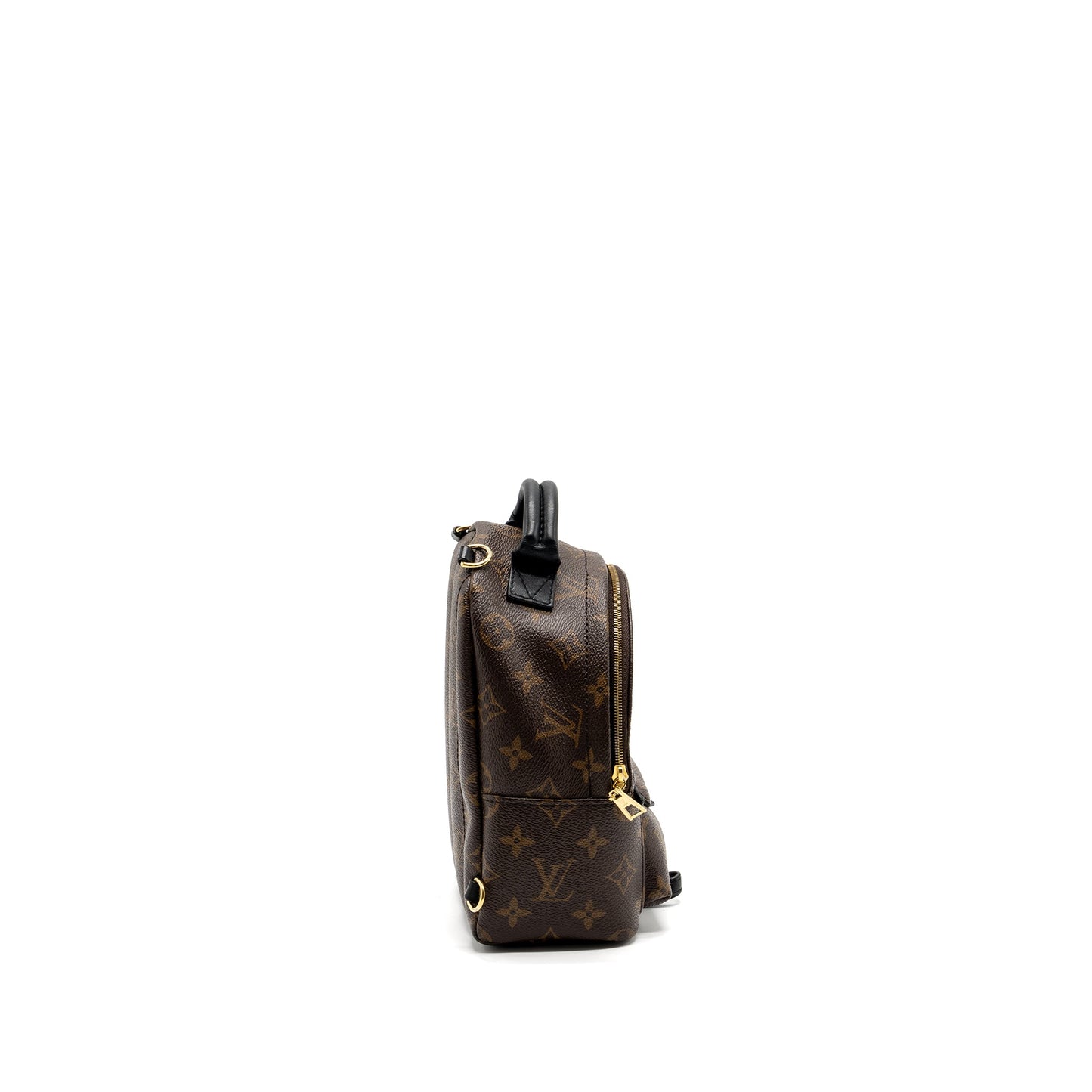 Louis Vuitton Mini Palm Spring Backpack Monogram Canvas