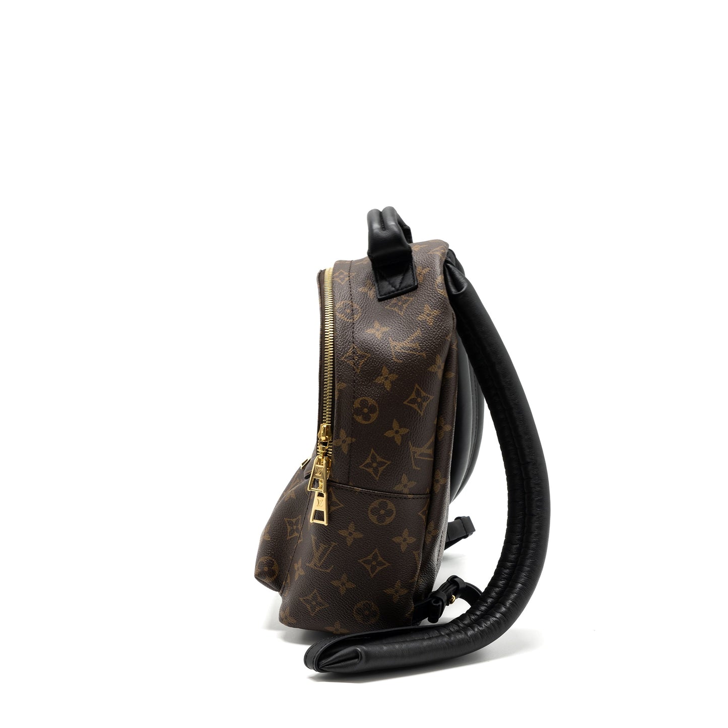 Louis Vuitton Palm Spring Backpack Monogram Canvas