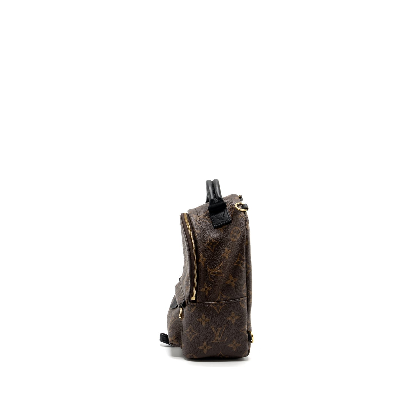 Louis Vuitton Mini Palm Spring Backpack Monogram Canvas