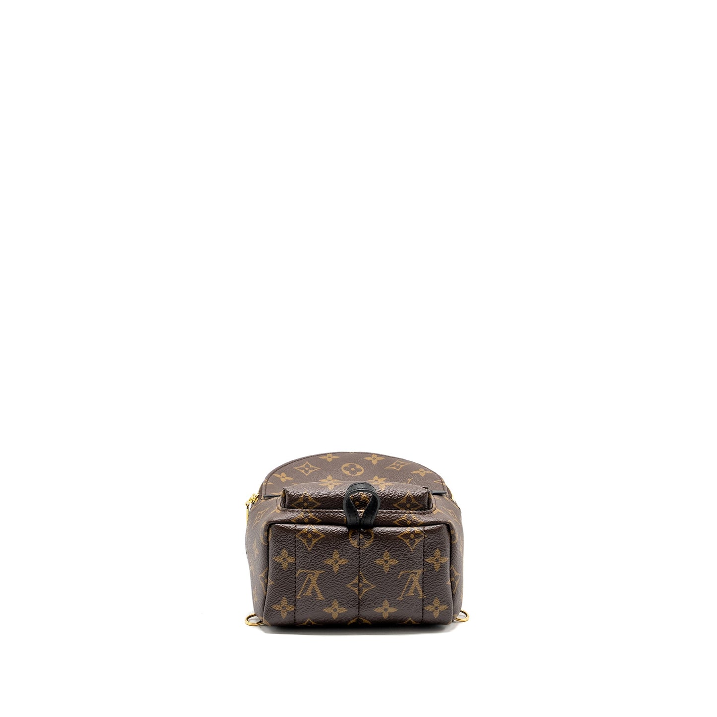 Louis Vuitton Mini Palm Spring Backpack Monogram CANVAS