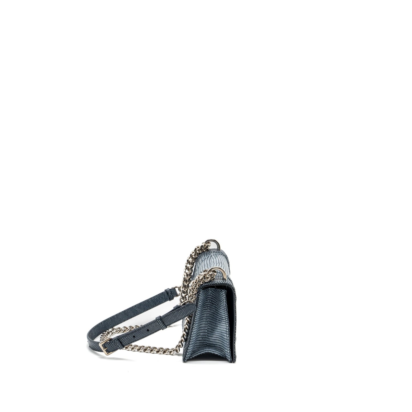 Dior small diorama lizard silver/multicolour