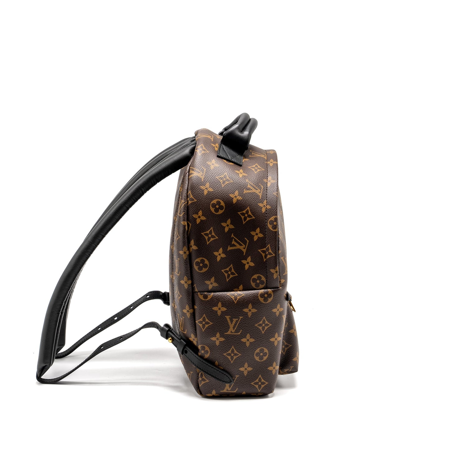 Louis Vuitton Palm Spring Backpack Monogram Canvas