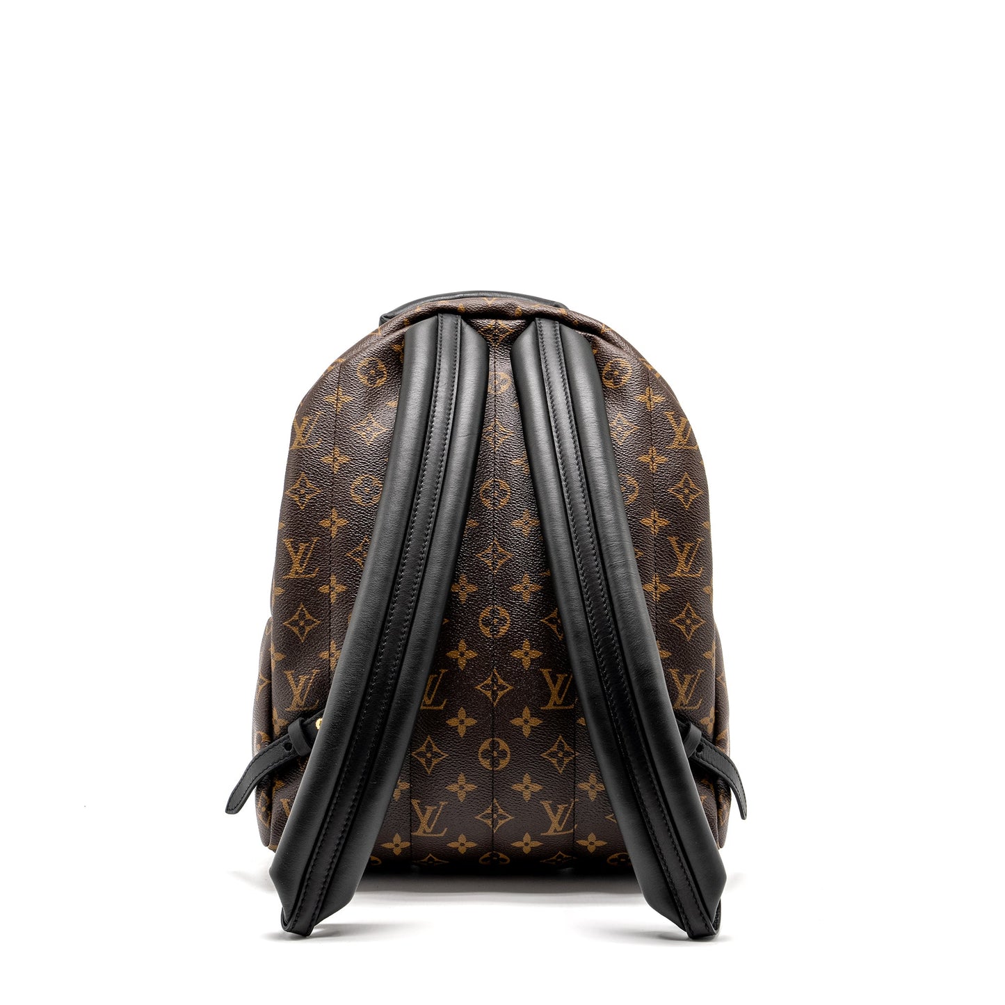Louis Vuitton Palm Spring Backpack Monogram Canvas
