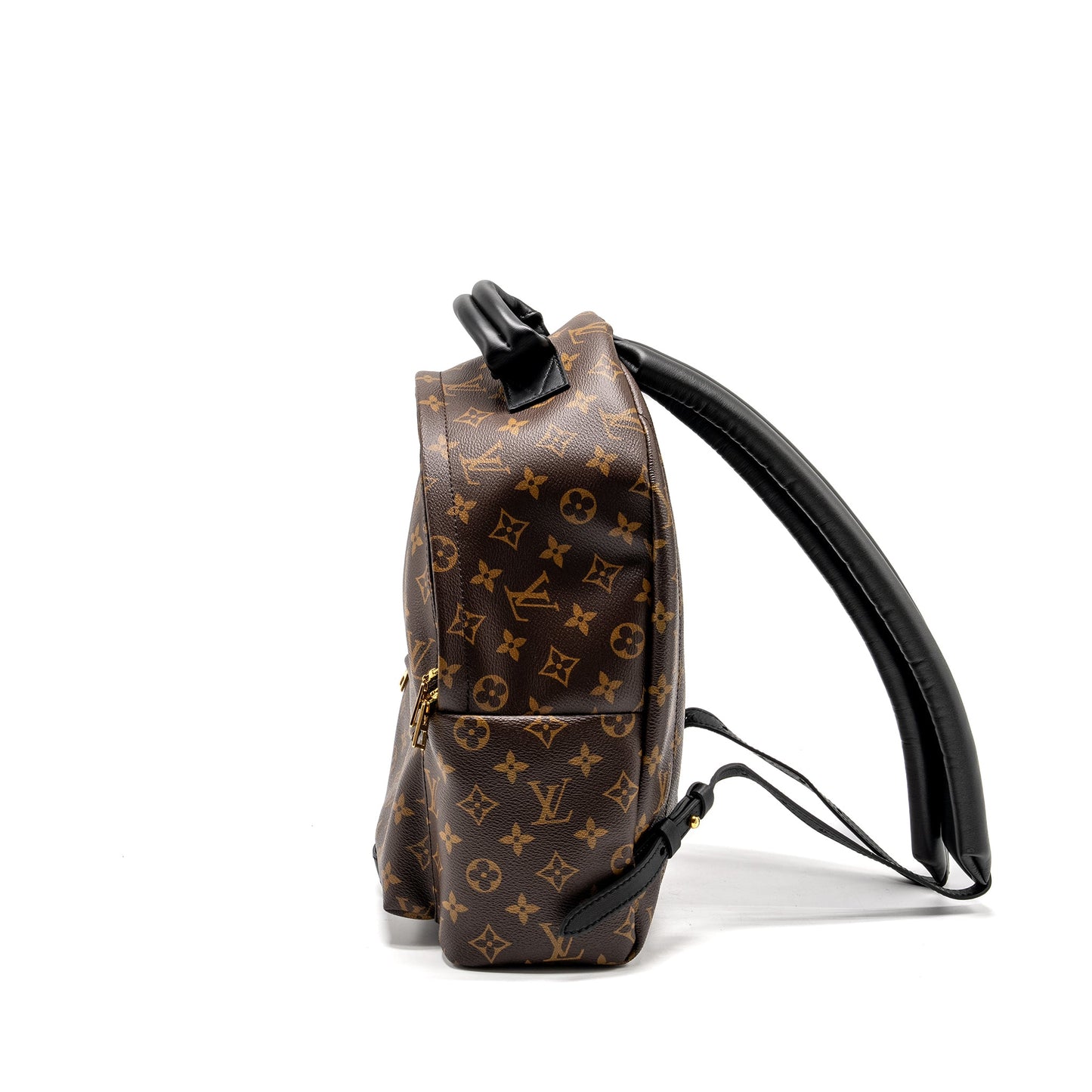 Louis Vuitton Palm Spring Backpack Monogram Canvas