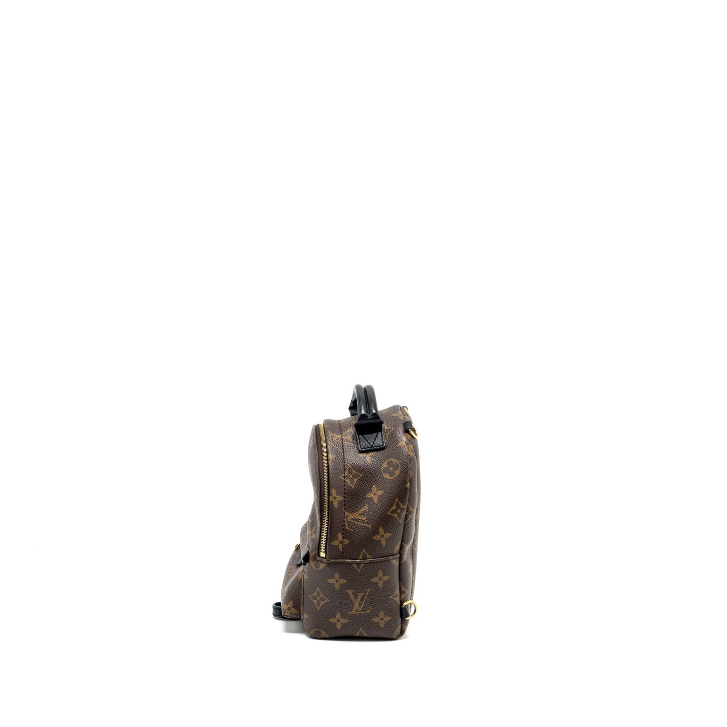 Louis Vuitton Mini Palm Spring backpack monogram canvas