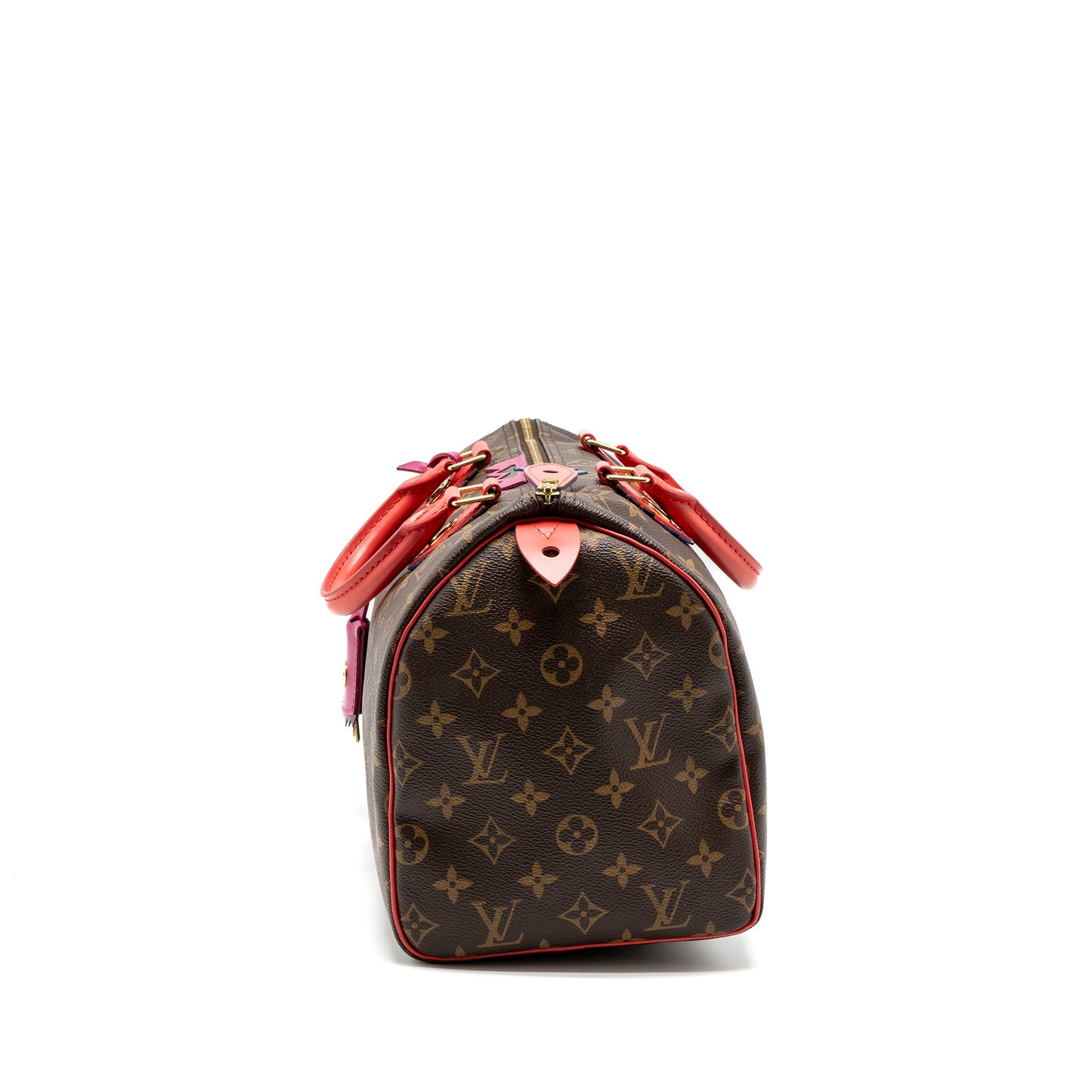Louis Vuitton Speedy 30 Limited Edition Monogram Canvas
