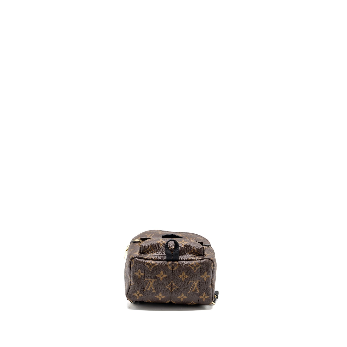 Louis Vuitton Mini Palm Spring Backpack Monogram Canvas