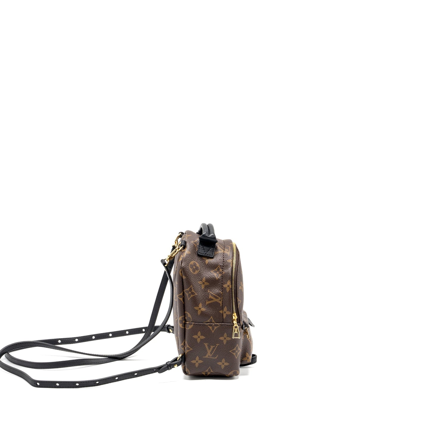 Louis Vuitton Mini Palm Spring Backpack Monogram Canvas