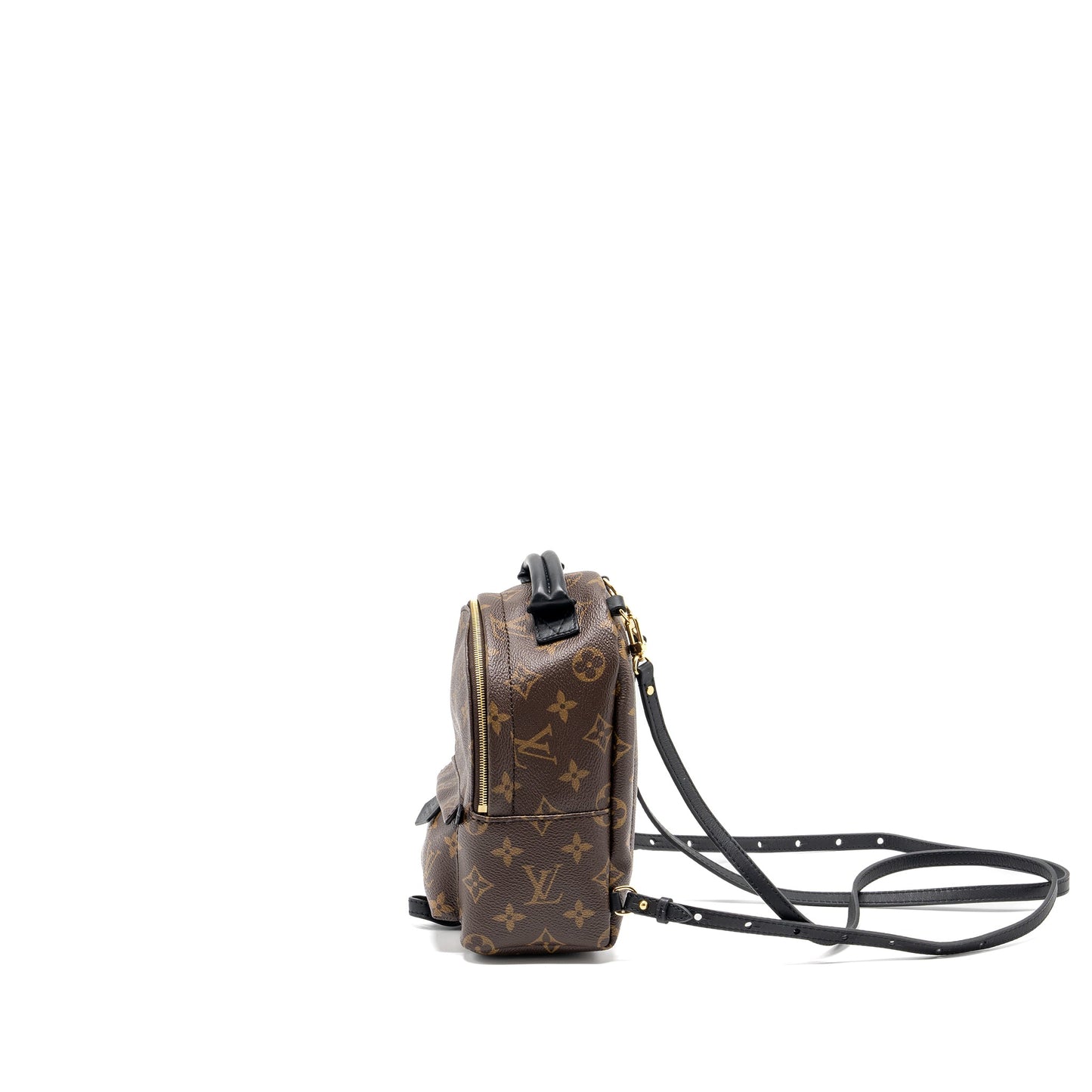 Louis Vuitton Mini Palm Spring Backpack Monogram Canvas