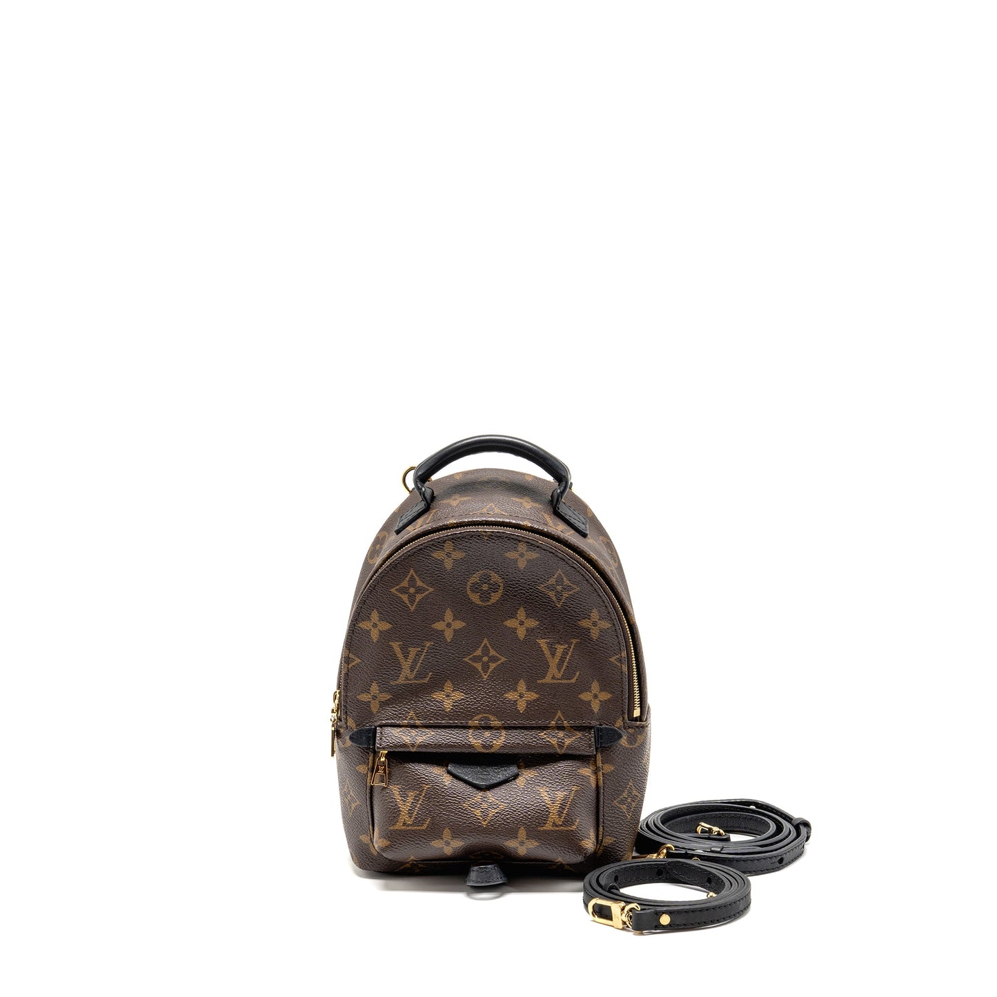 Louis Vuitton Palm Springs Monogram Canvas