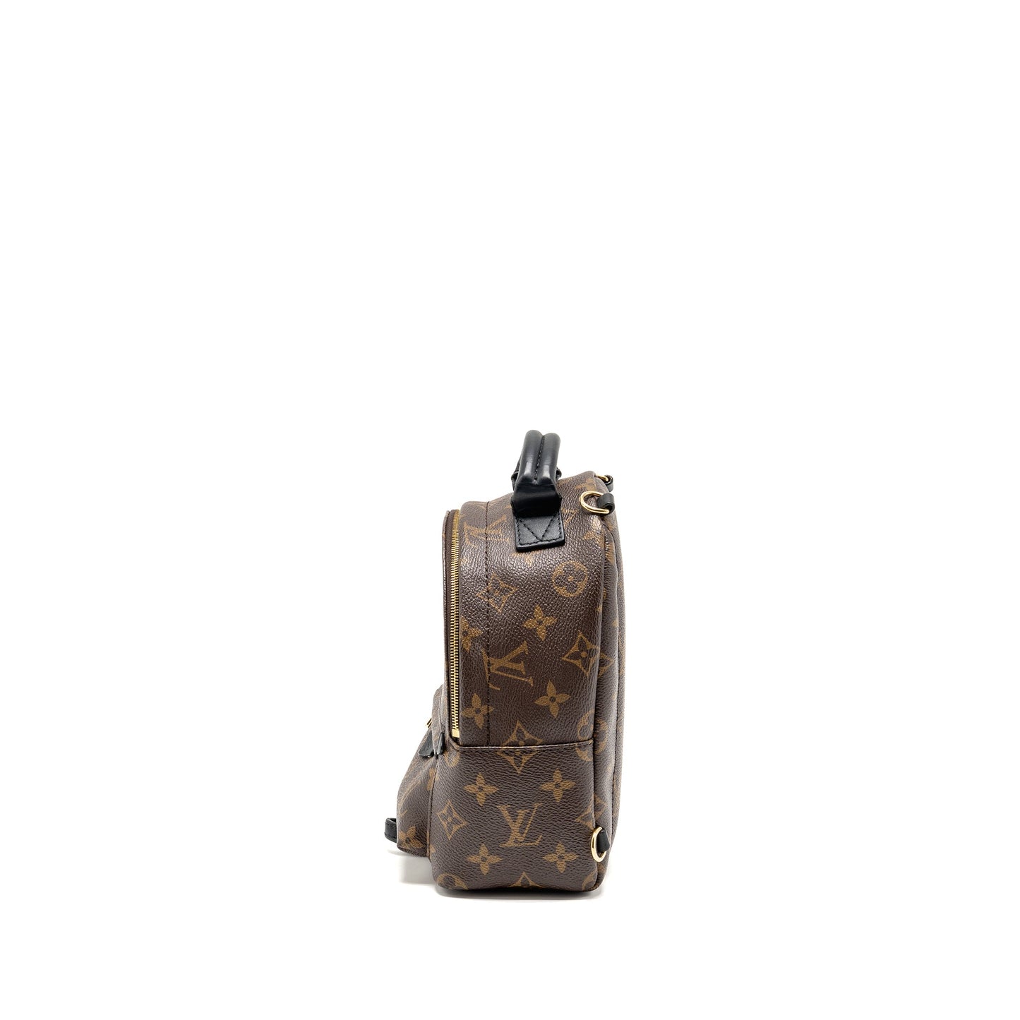 Louis Vuitton Palm Springs Monogram Canvas