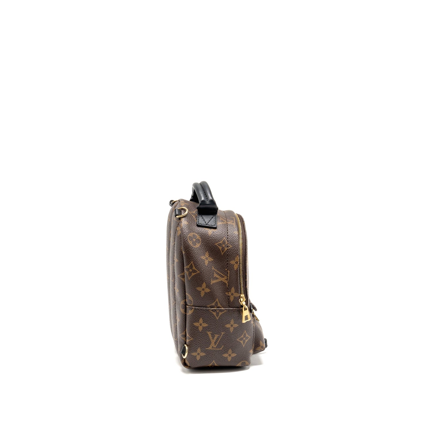 Louis Vuitton Palm Springs Monogram Canvas