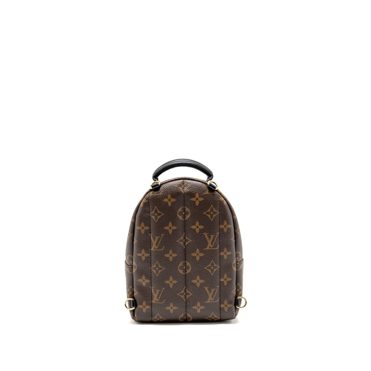 Louis Vuitton Palm Springs Monogram Canvas