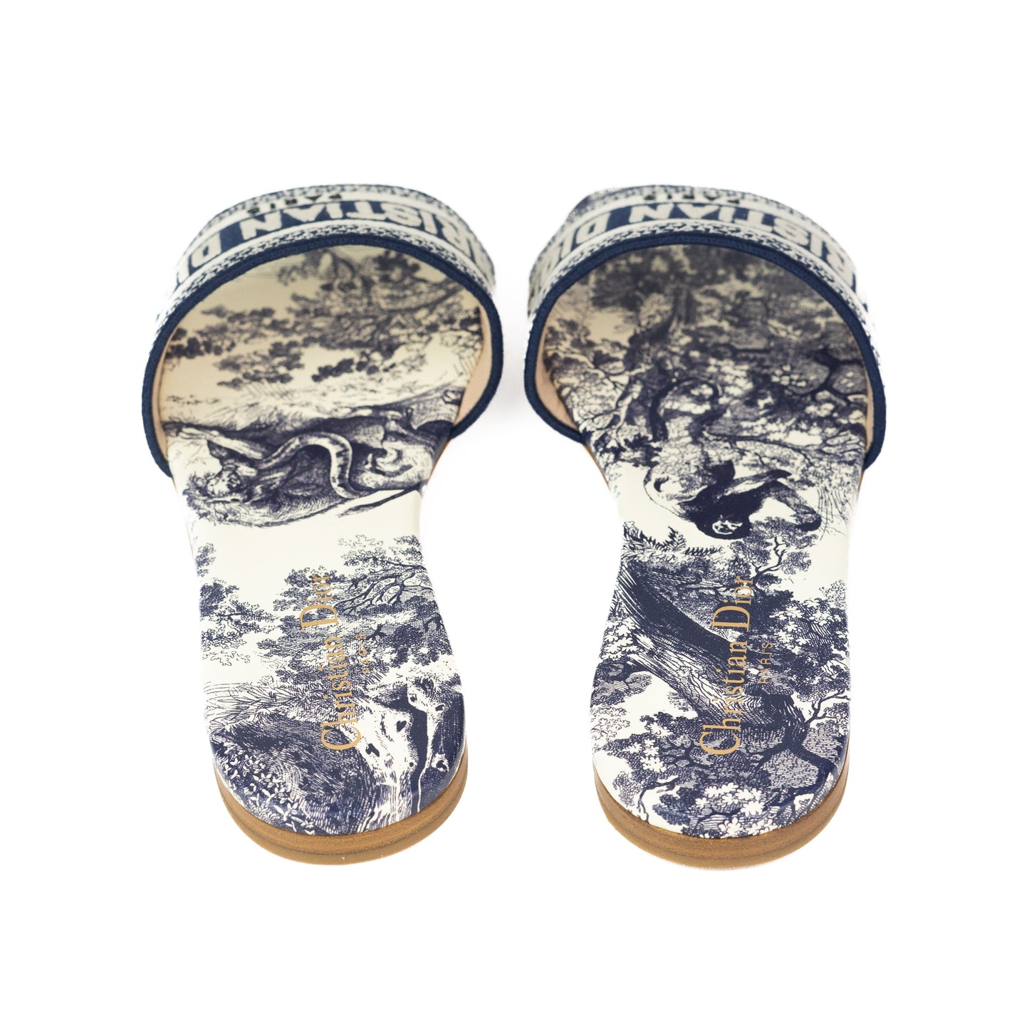 Dior Dway Slides Deep blue