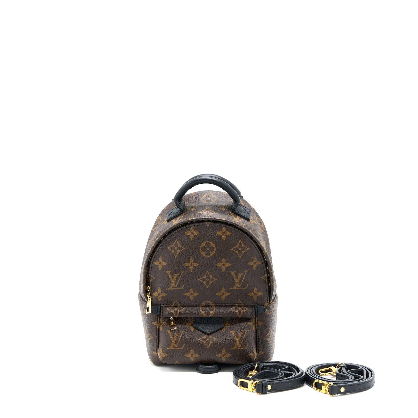 Louis Vuitton Palm Spring Mini Backpack Monogram Canvas
