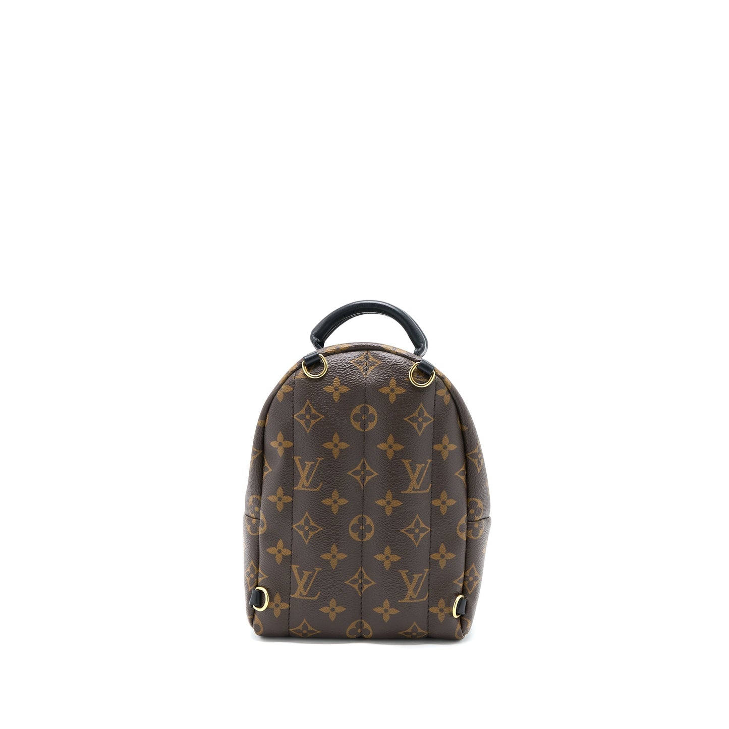 Louis Vuitton Palm Spring Mini Backpack Monogram Canvas